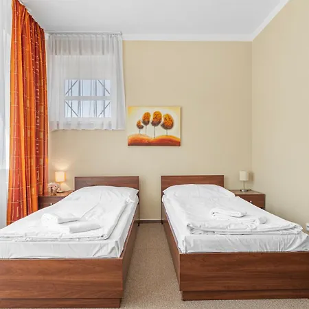 - Konferencni 아파트 *