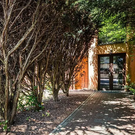 - Konferencni * Samechov